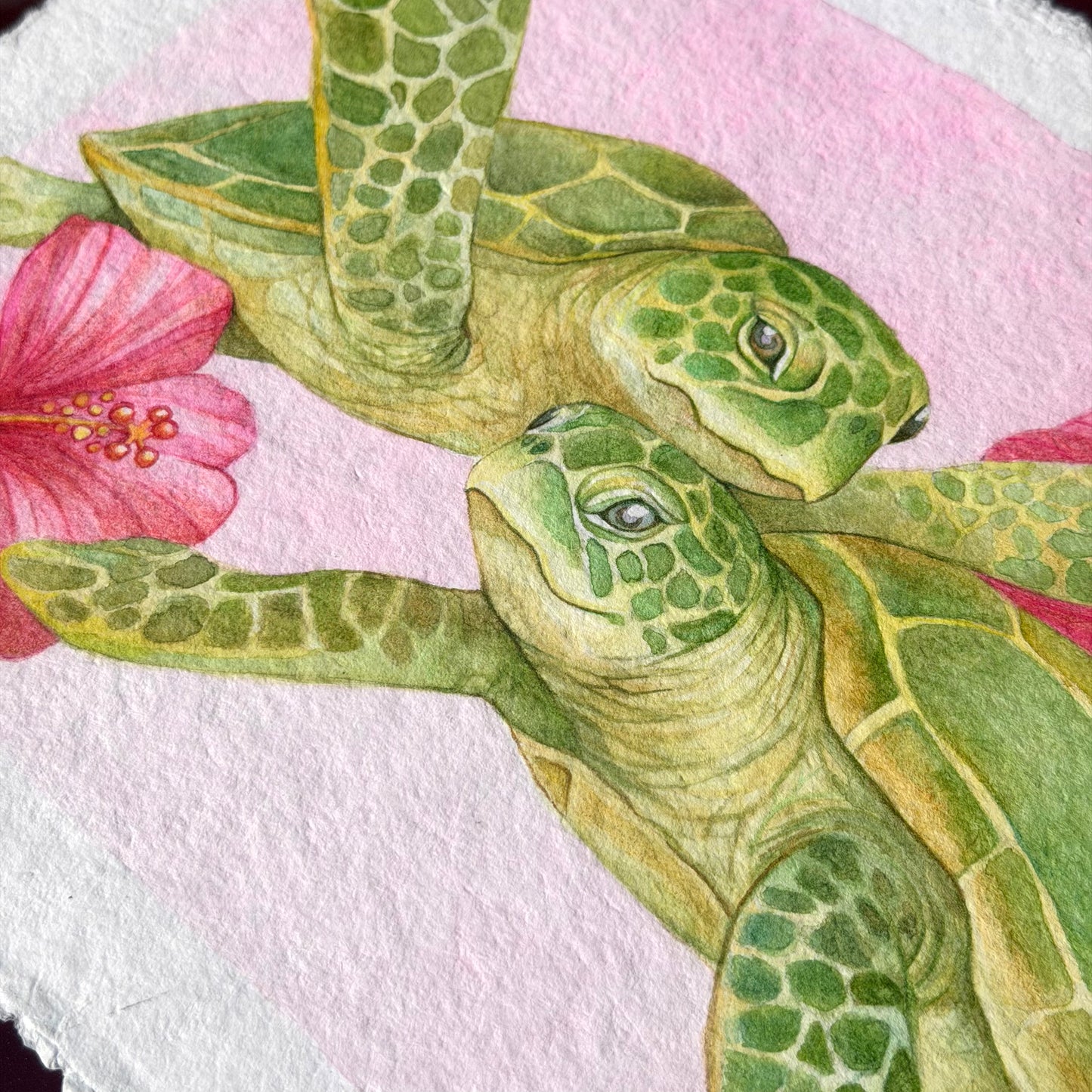 Honu Sweethearts