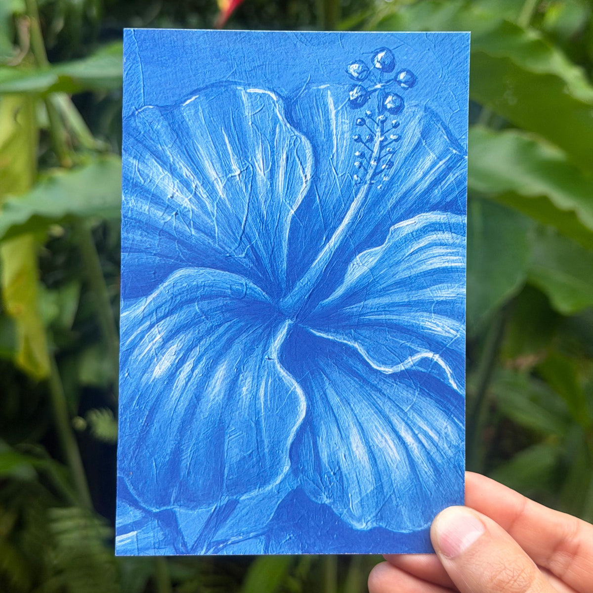 Hibiscus Study blue botanical watercolor artwork by Liliane Avalos, featured on a greeting card in Kauaʻi, Hawaiʻi 2026
