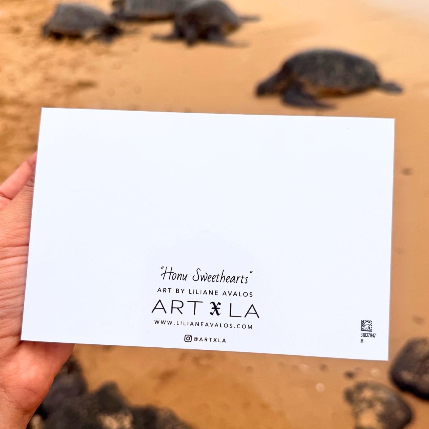 Hand holding a card with 'Art X LA' branding in front of turtles on sand. greeting card by Liliane Avalos, Kauai Hawaii artist