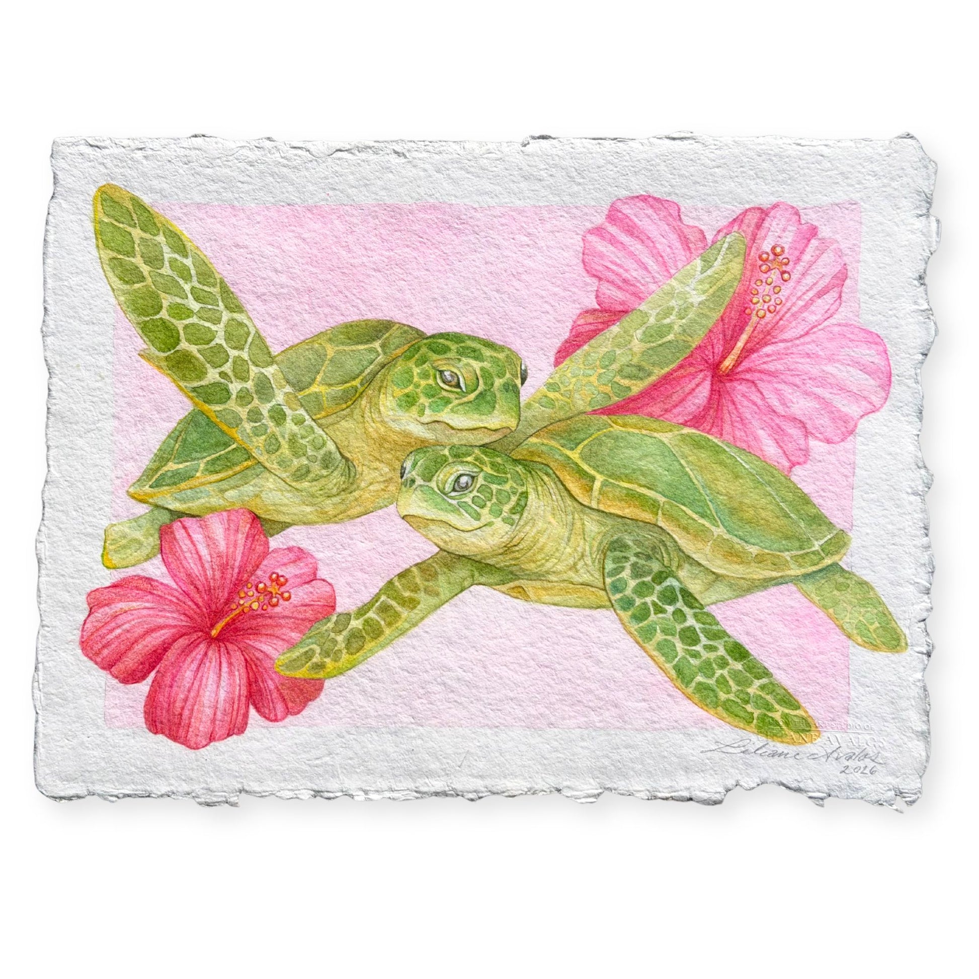 watercolor painting on handmade paper of a green sea turtles with pink flowers on a textured background by artist Liliane Avalos Kauai Hawaii 2026