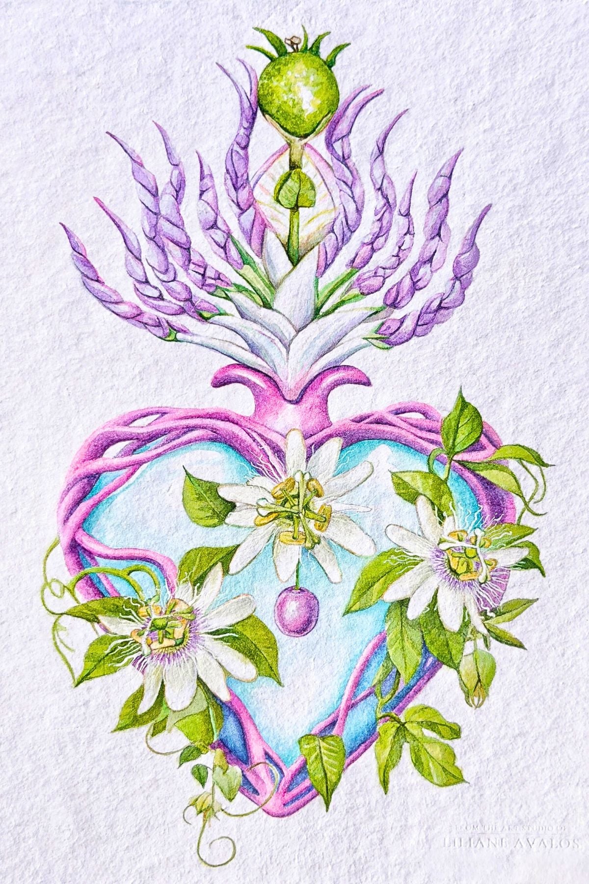 Colorful Lilikoi sacred heart design with floral elements on a textured white background on texture watercolor paper. Artwork by Liliane Avalos, Kauai Hawaii artist