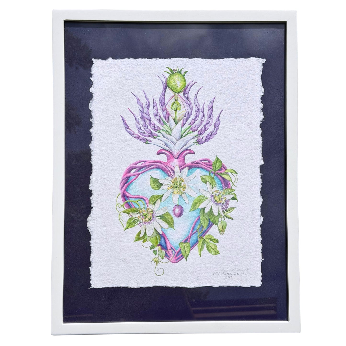 Framed original watercolor painting artwork with botanical sacred heart design featuring Lilikoi passion flowers and leaves on a white background of handmade paper, signed and embossed by artist Liliane Avalos