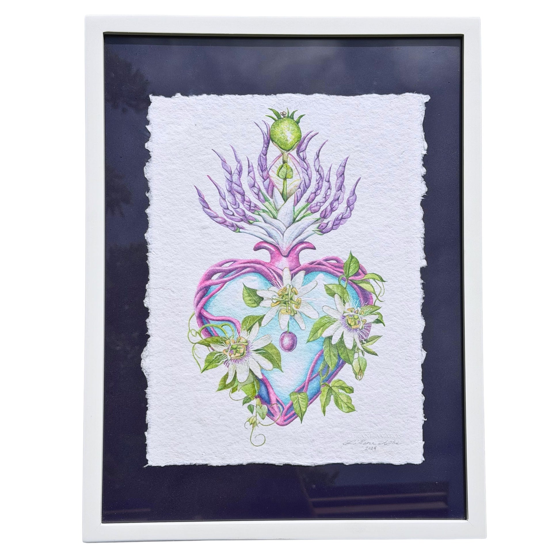 Framed original watercolor painting artwork with botanical sacred heart design featuring Lilikoi passion flowers and leaves on a white background of handmade paper, signed and embossed by artist Liliane Avalos