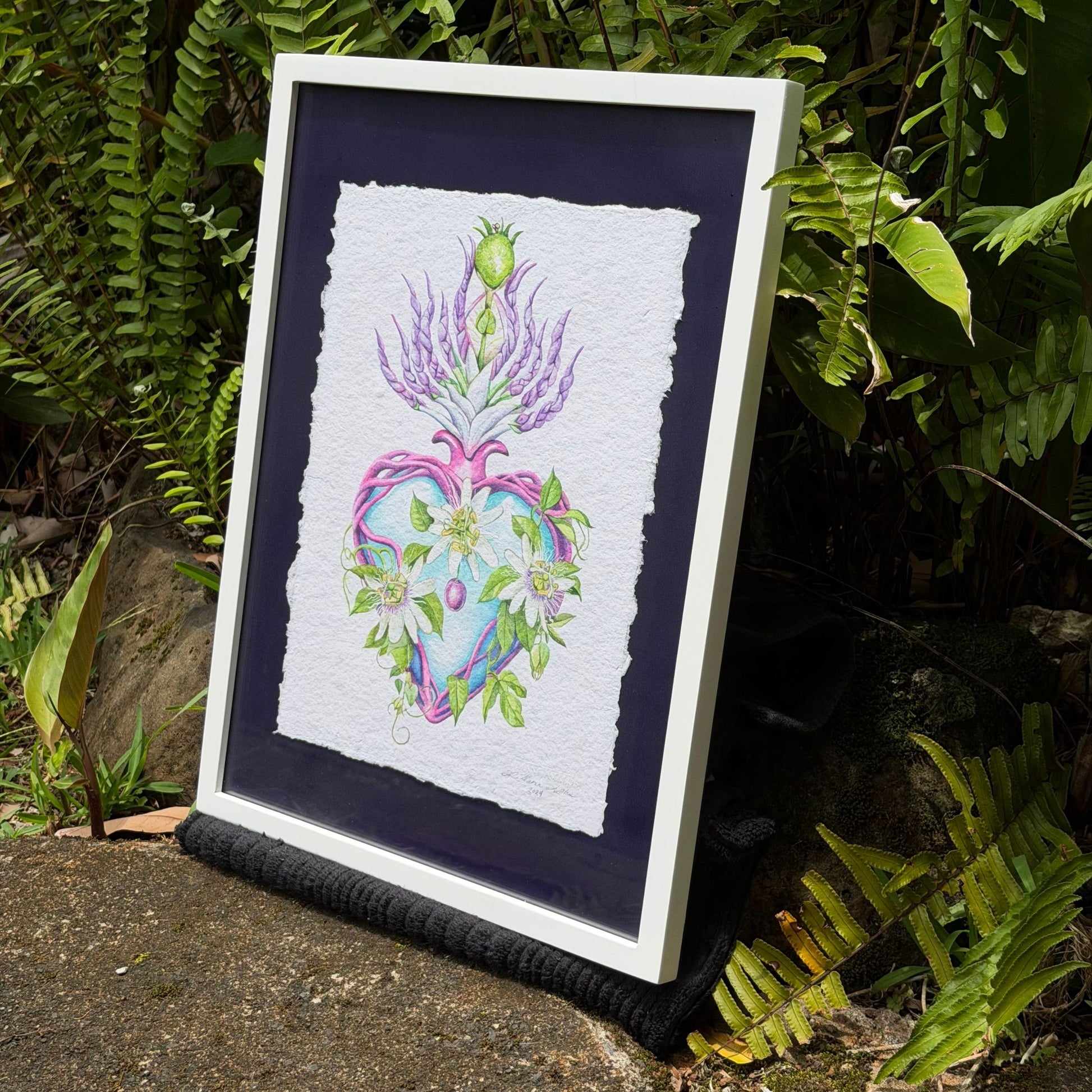 Framed artwork with a floral design on a dark background, leaning against green foliage. Framed original watercolor painting artwork with botanical sacred heart design featuring Lilikoi passion flowers and leaves on a white background of handmade paper, signed and embossed by artist Liliane Avalos