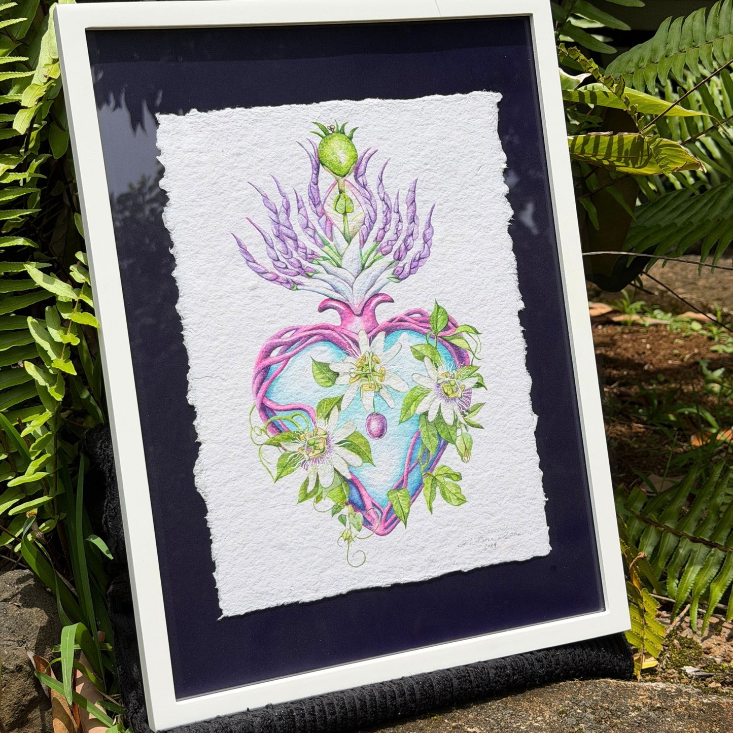 Framed artwork with a heart design surrounded by plants on a natural background Framed original watercolor painting artwork with botanical sacred heart design featuring Lilikoi passion flowers and leaves on a white background of handmade paper, signed and embossed by artist Liliane Avalos