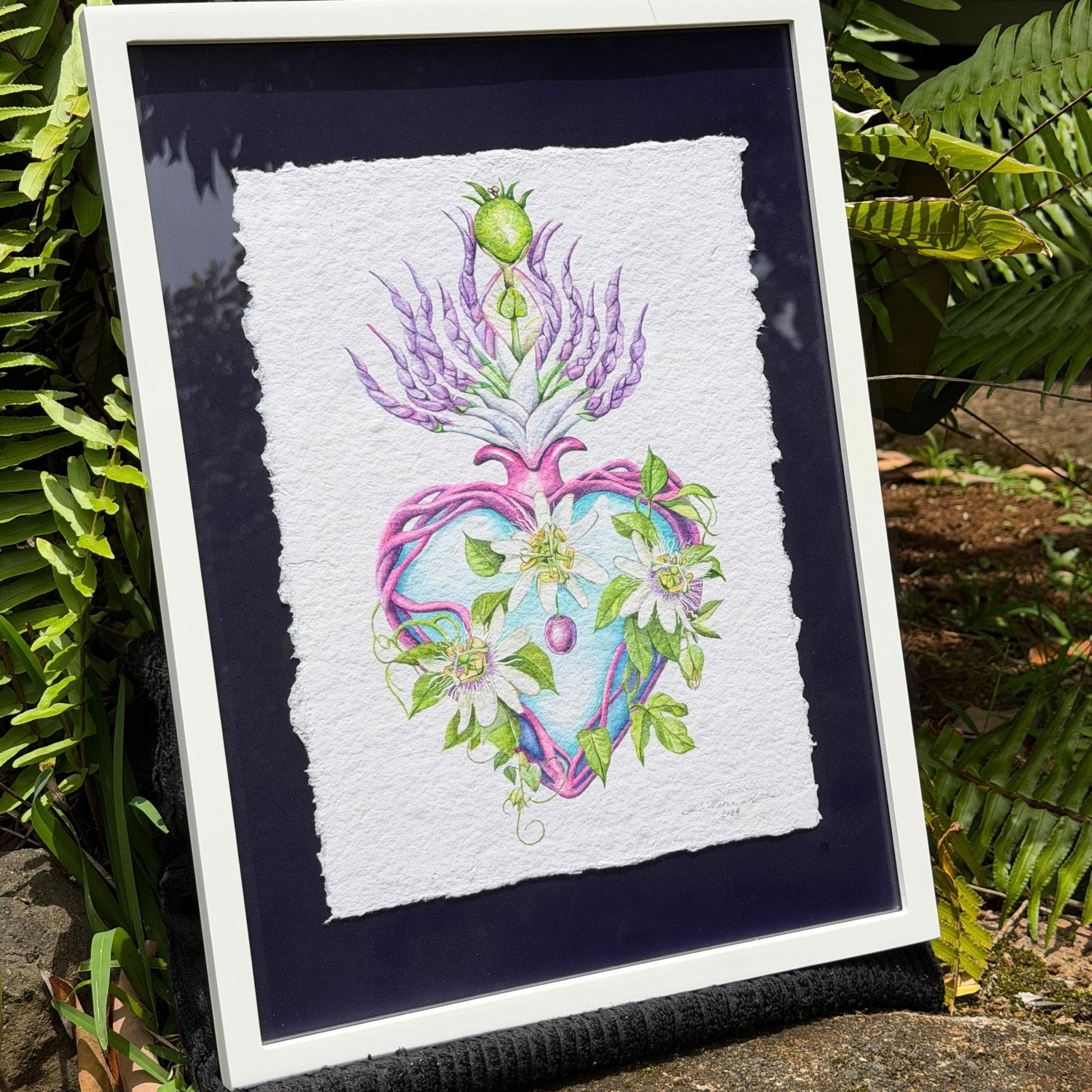 Framed artwork with a heart design surrounded by plants on a natural background Framed original watercolor painting artwork with botanical sacred heart design featuring Lilikoi passion flowers and leaves on a white background of handmade paper, signed and embossed by artist Liliane Avalos