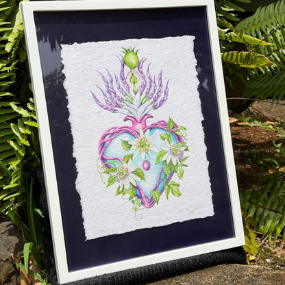 Framed artwork with a heart design surrounded by plants on a natural background Framed original watercolor painting artwork with botanical sacred heart design featuring Lilikoi passion flowers and leaves on a white background of handmade paper, signed and embossed by artist Liliane Avalos