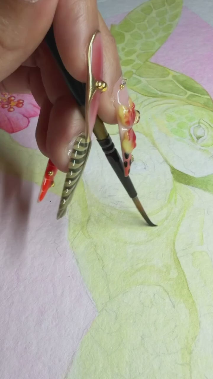 watercolor painting in progress honu sweethearts by artist Liliane Avalos Kauai Hawaii 2026